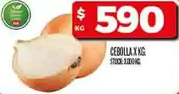 Supermercados DIA Cebolla oferta