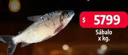 Autoservicio Capo Sábalo oferta
