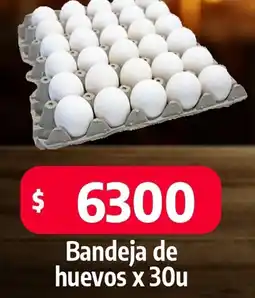 Autoservicio Capo Bandeja de huevos oferta