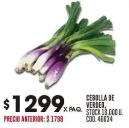 Coto Cebolla de verdeo oferta