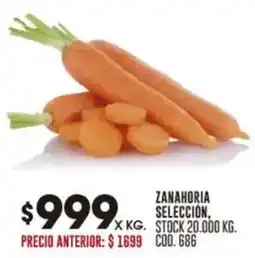 Coto Zanahoria selección oferta