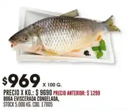 Coto Boga eviscerada congelada oferta