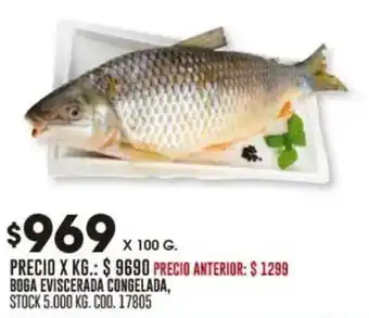 Coto Boga eviscerada congelada oferta