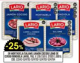 Coto Lario en mortadela/salame/jamón cocido/lomo de cerdo/bondiola oferta