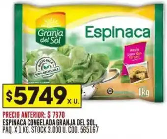 Coto Espinaca congelada granja del sol oferta