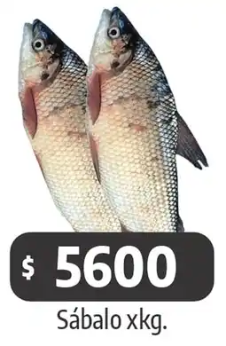 Autoservicio Capo Sábalo oferta