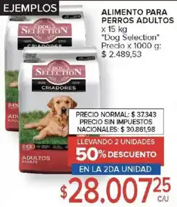 Carrefour Alimento para perros adultos oferta