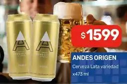 Nini Mayorista Andes origen cerveza lata variedad oferta