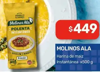 Nini Mayorista Molinos ala harina de maiz instantánea oferta
