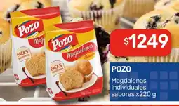 Nini Mayorista Pozo magdalenas individuales sabores oferta
