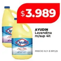 Supermayorista Vital Ayudin lavandina m/sup oferta