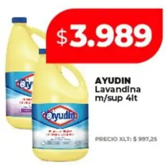 Supermayorista Vital Ayudin lavandina m/sup oferta