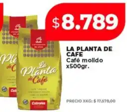 Supermayorista Vital La planta de café molldo oferta