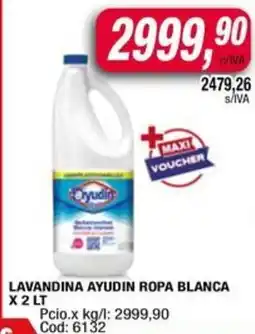 Maxiconsumo Ayudin lavandina ropa blanca oferta