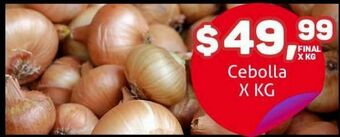 Makro Cebolla x kg oferta