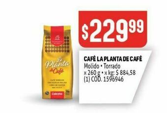 Makro Cafe la planta de café oferta