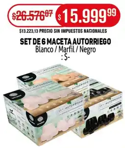 Makro Set de 6 maceta autorriego oferta