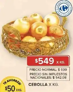 Carrefour Cebolla oferta