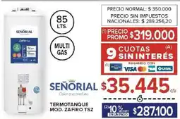 Carrefour Señorial termotanque oferta