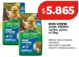 Supermayorista Vital Purina dog chow alim. perro cacho. p/car. oferta