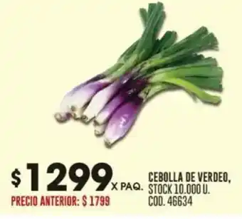 Coto Cebolla de verdeo oferta