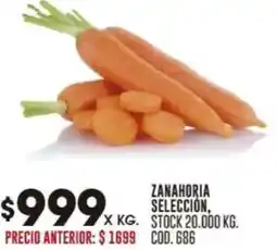 Coto Zanahoria selección oferta