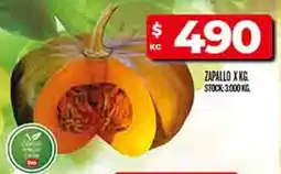 Zapallo