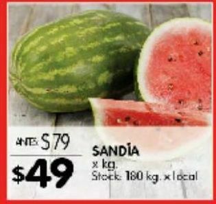 Disco Sandía kg oferta