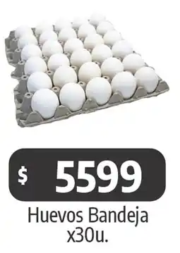 Autoservicio Capo Huevos Bandeja oferta