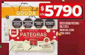 Supermercados DIA Gouda/pategras queso oferta