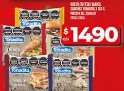 Supermercados DIA Tonadita queso en feels varios sabores oferta