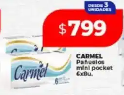 Supermayorista Vital Carmel pañuelos mini pocket oferta