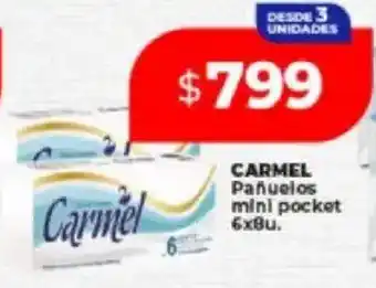 Supermayorista Vital Carmel pañuelos mini pocket oferta