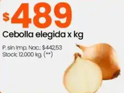Changomas Cebolla elegida oferta