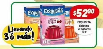 Almacor Exquisita Gelatina oferta