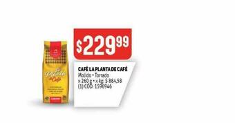 Makro Café La Planta De Café oferta