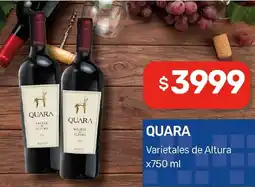 Nini Mayorista Quara varietales de altura oferta