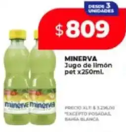 Supermayorista Vital Minerva jugo de limón pet oferta