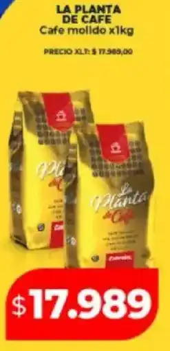 Supermayorista Vital La planta de cafe cafe molido oferta