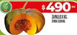 Supermercados DIA Zapallo oferta