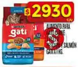 Supermercados DIA Purina gati alimento oferta