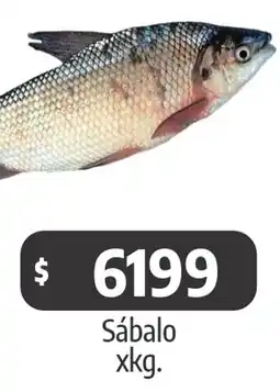 Autoservicio Capo Sábalo oferta