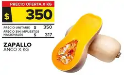 Carrefour Zapallo anco oferta