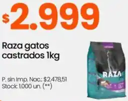 Changomas Raza gatos castrados oferta