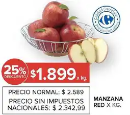 Carrefour Manzana red oferta