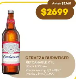 Cerveza budweiser retornable