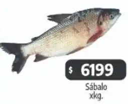 Autoservicio Capo Sábalo oferta