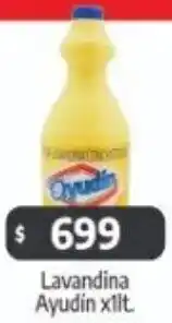 Autoservicio Capo Ayudin lavandina oferta