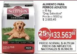 Carrefour Dog selection alimento para perros adultos oferta