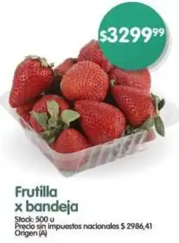 Frutilla